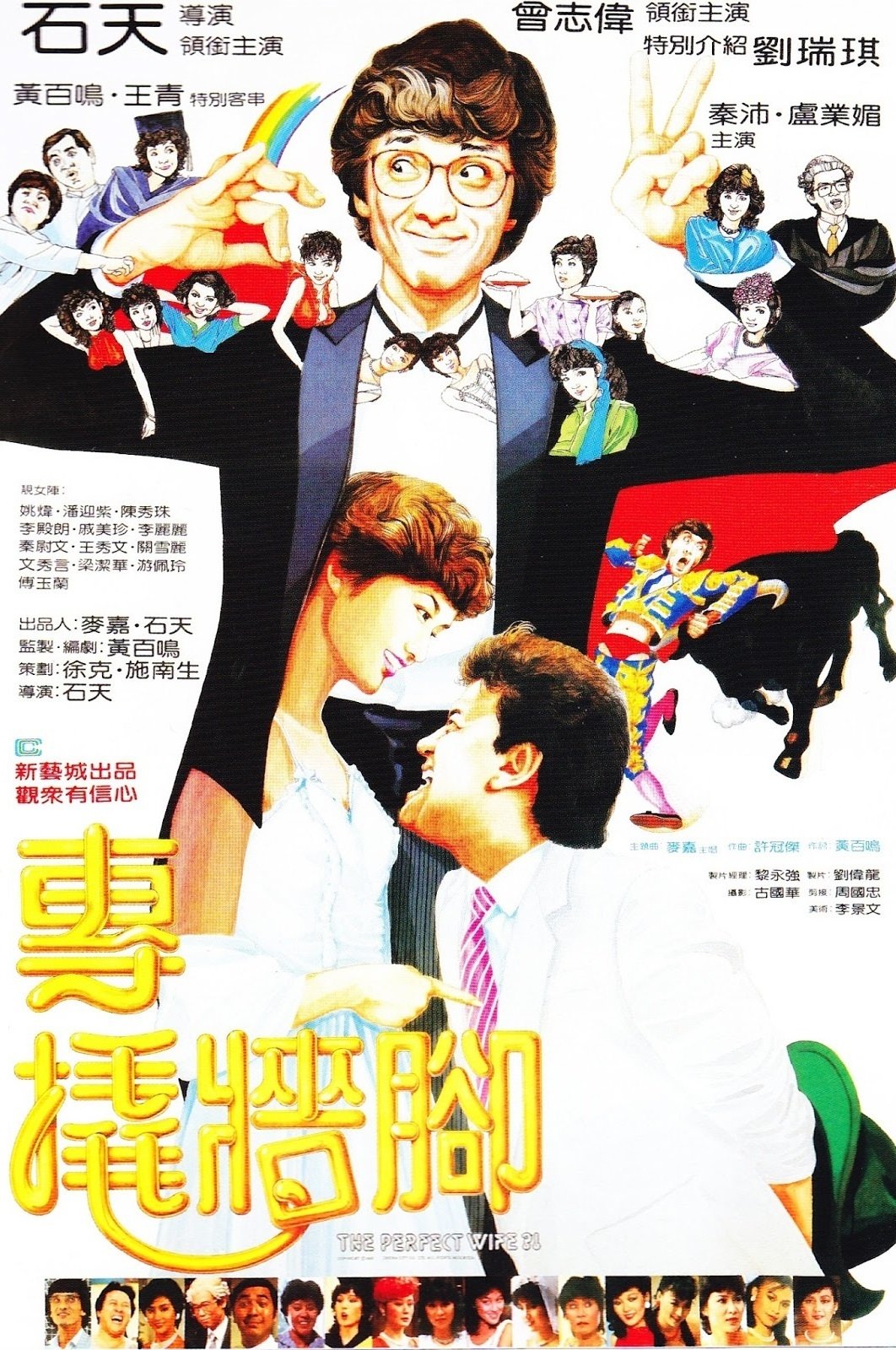 The Perfect Wife?! poster
