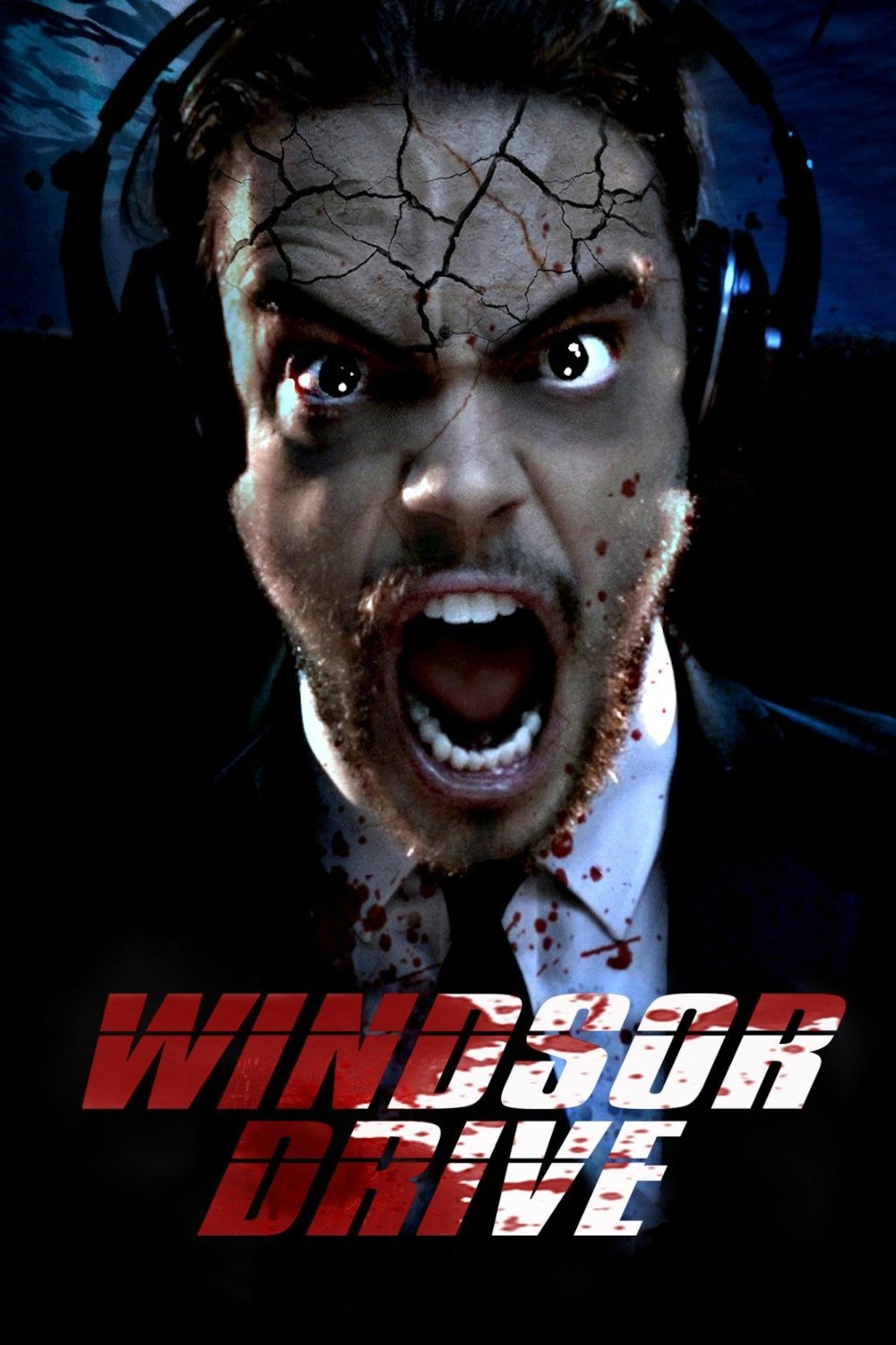 Windsor Drive poster